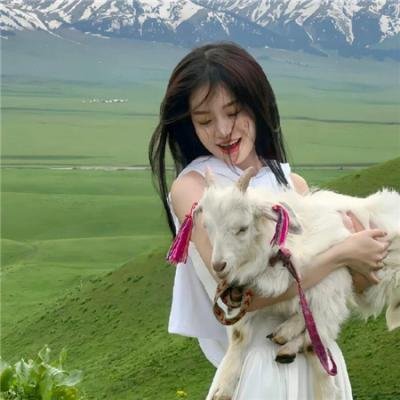 龙门驿站之狼武士